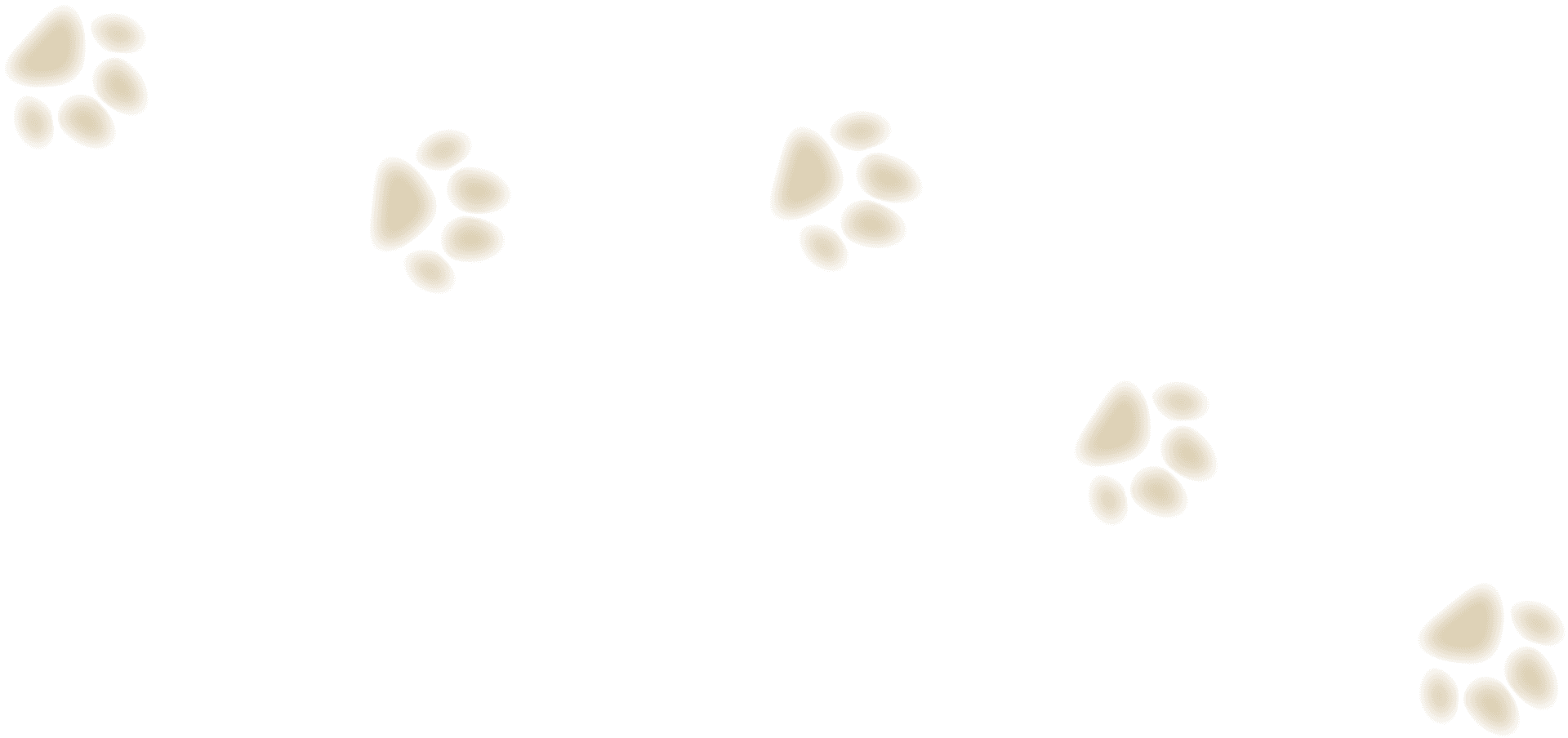 Pattern of paw prints